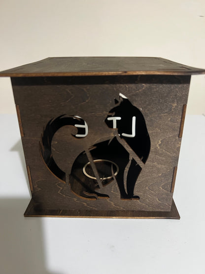 Light box (cat)