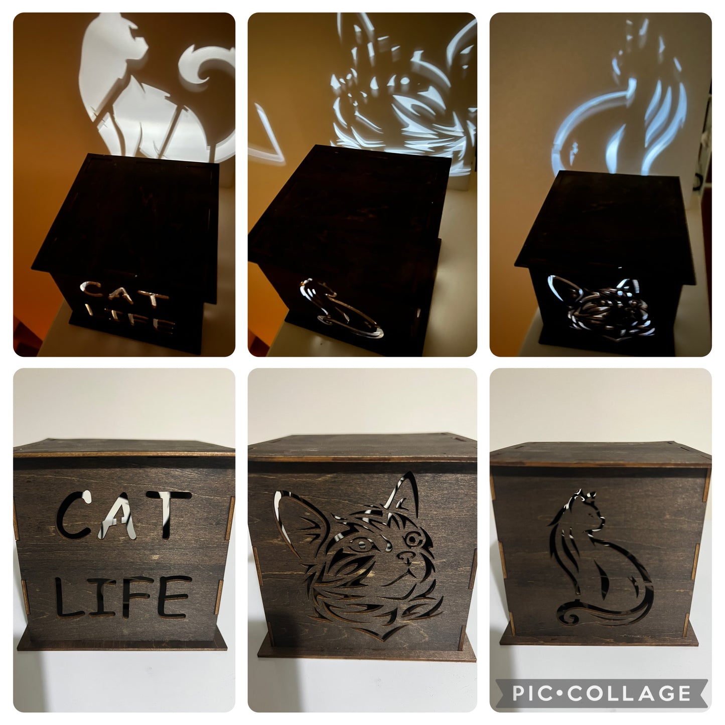 Light box (cat)