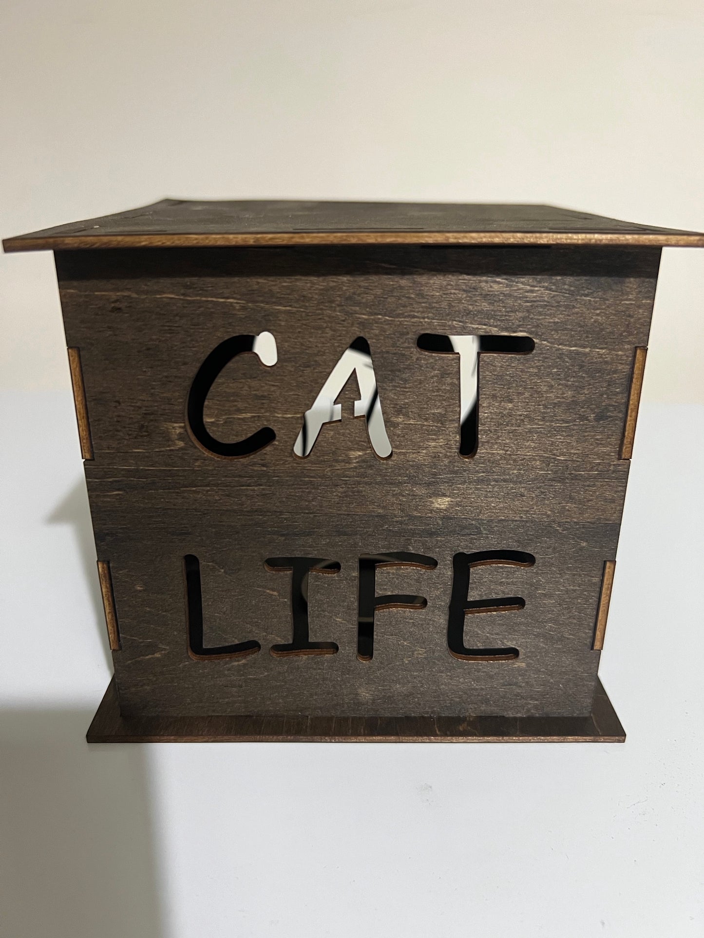 Light box (cat)