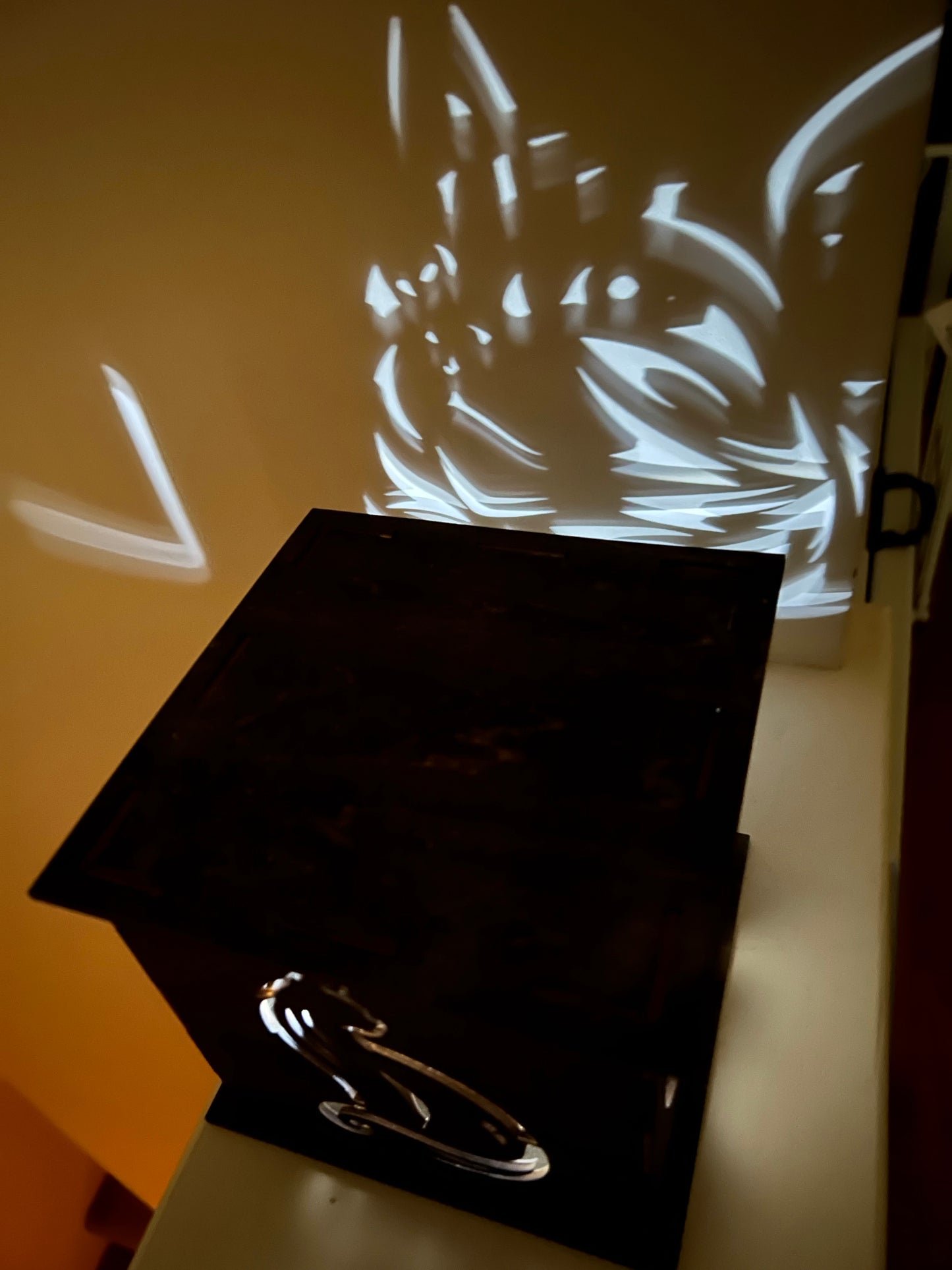 Light box (cat)