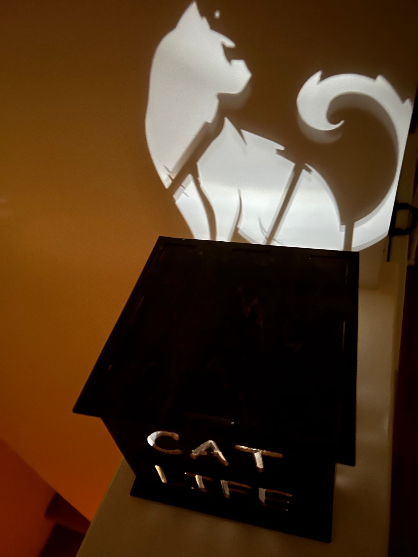 Light box (cat)