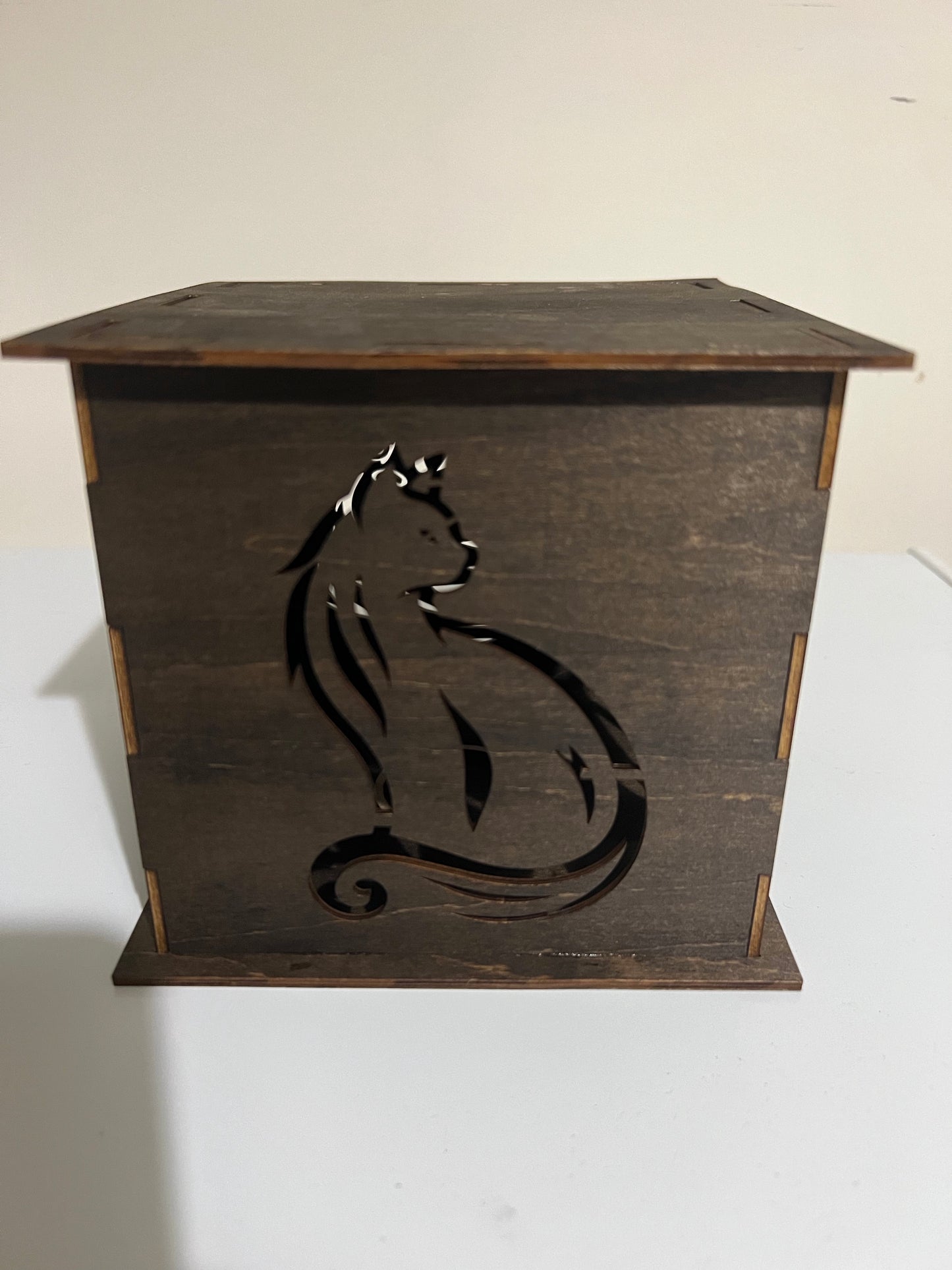Light box (cat)