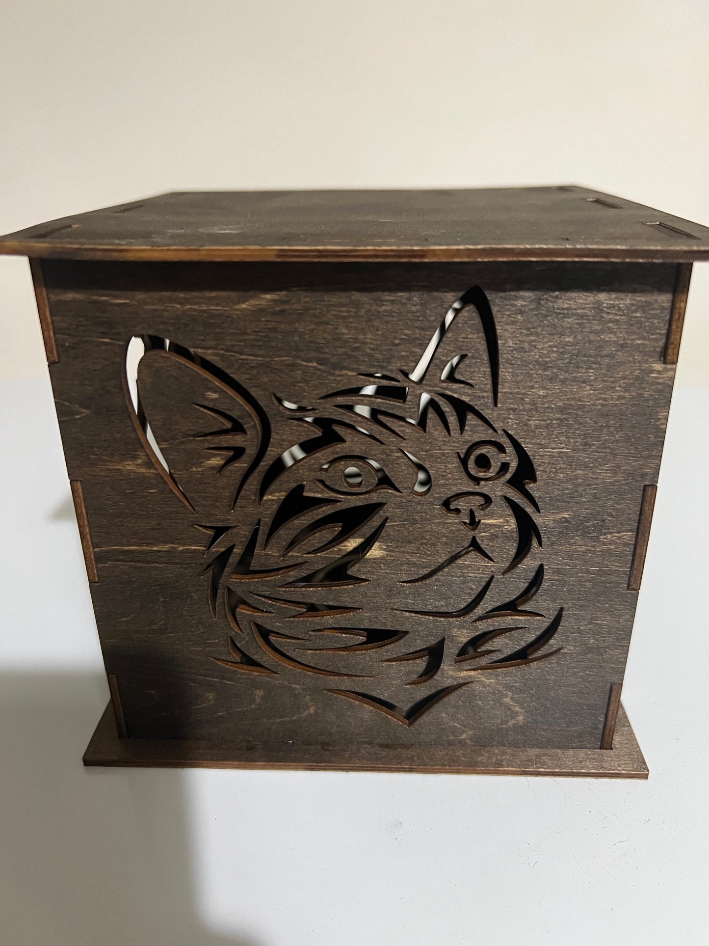 Light box (cat)